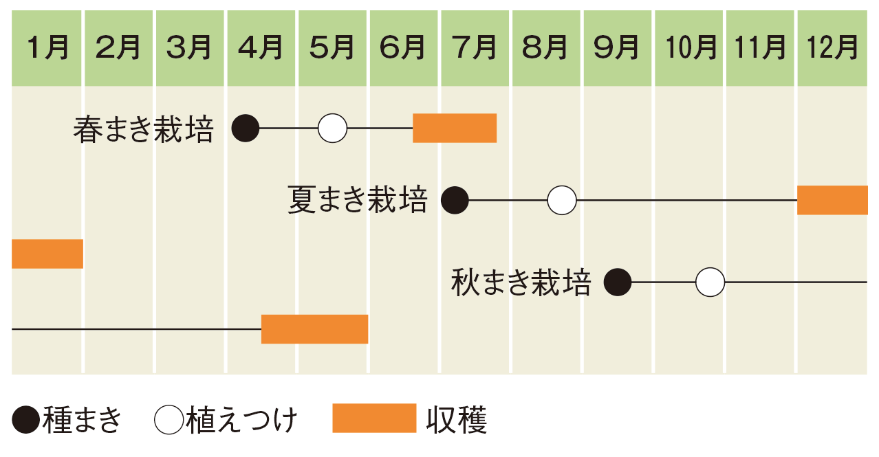 栽培スケジュールの表