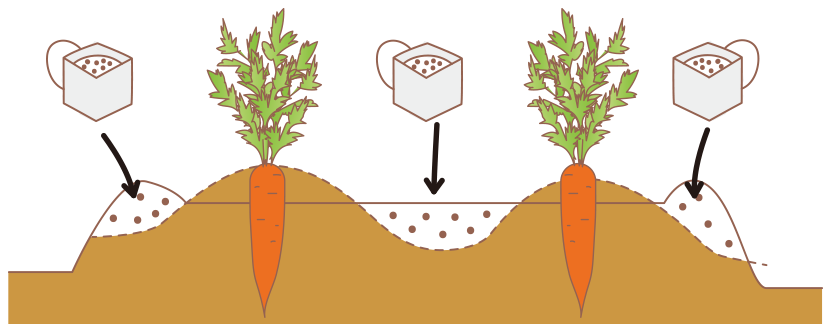 図：追肥・土寄せ