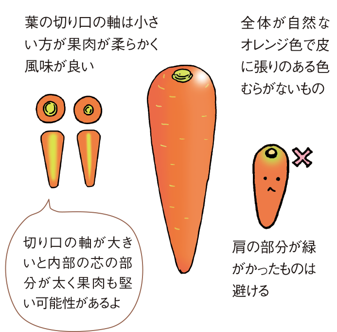 イラスト:見分け方