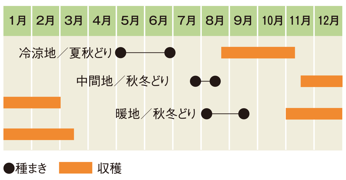 栽培スケジュールの表