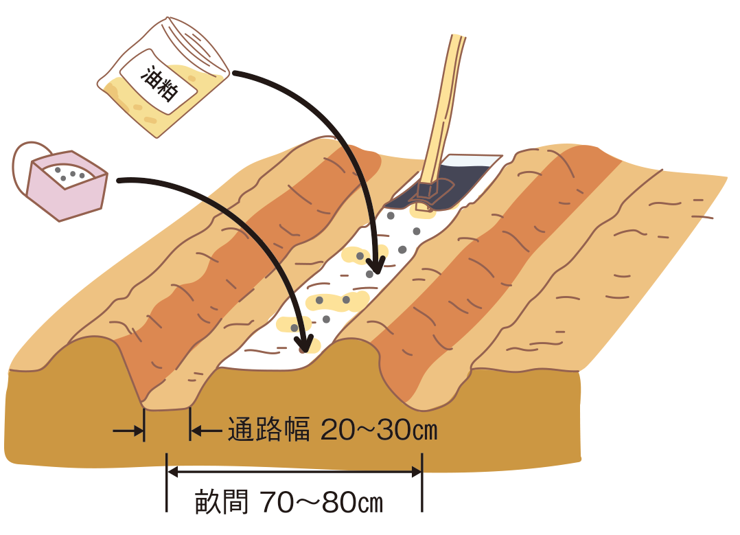 図：元肥入れ