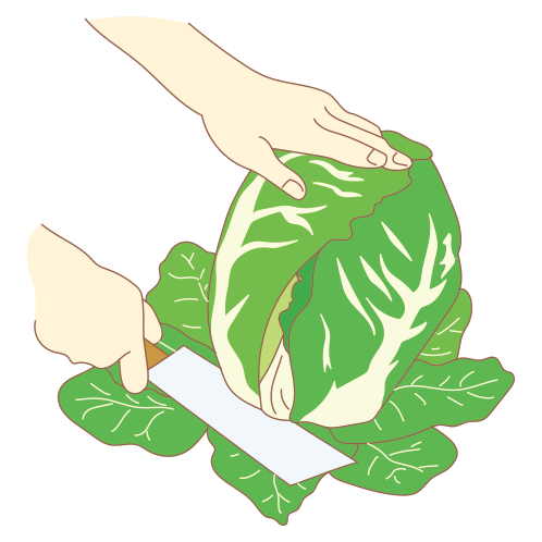 図:収穫2