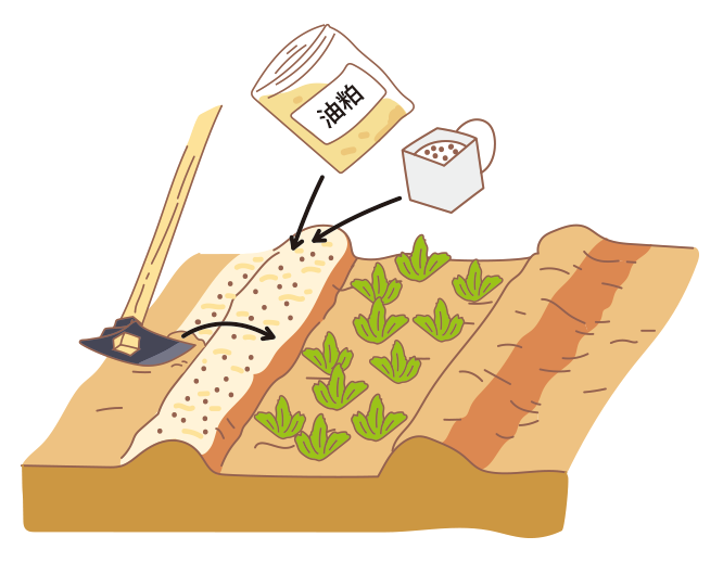 図:畑の準備