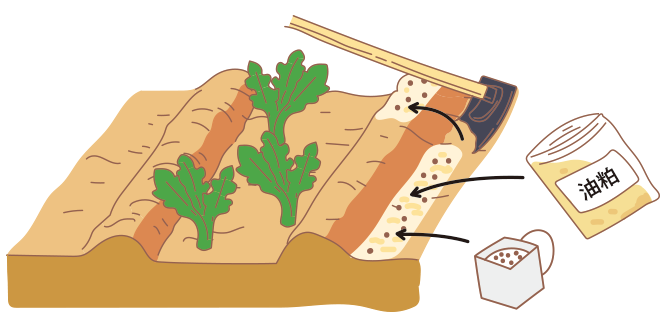 図:畑の準備