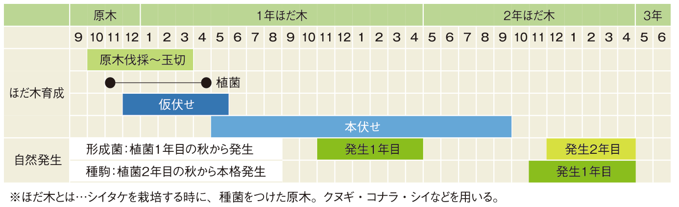 栽培スケジュール