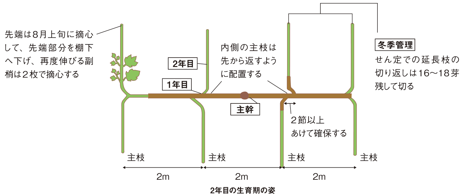 図：2年目の管理