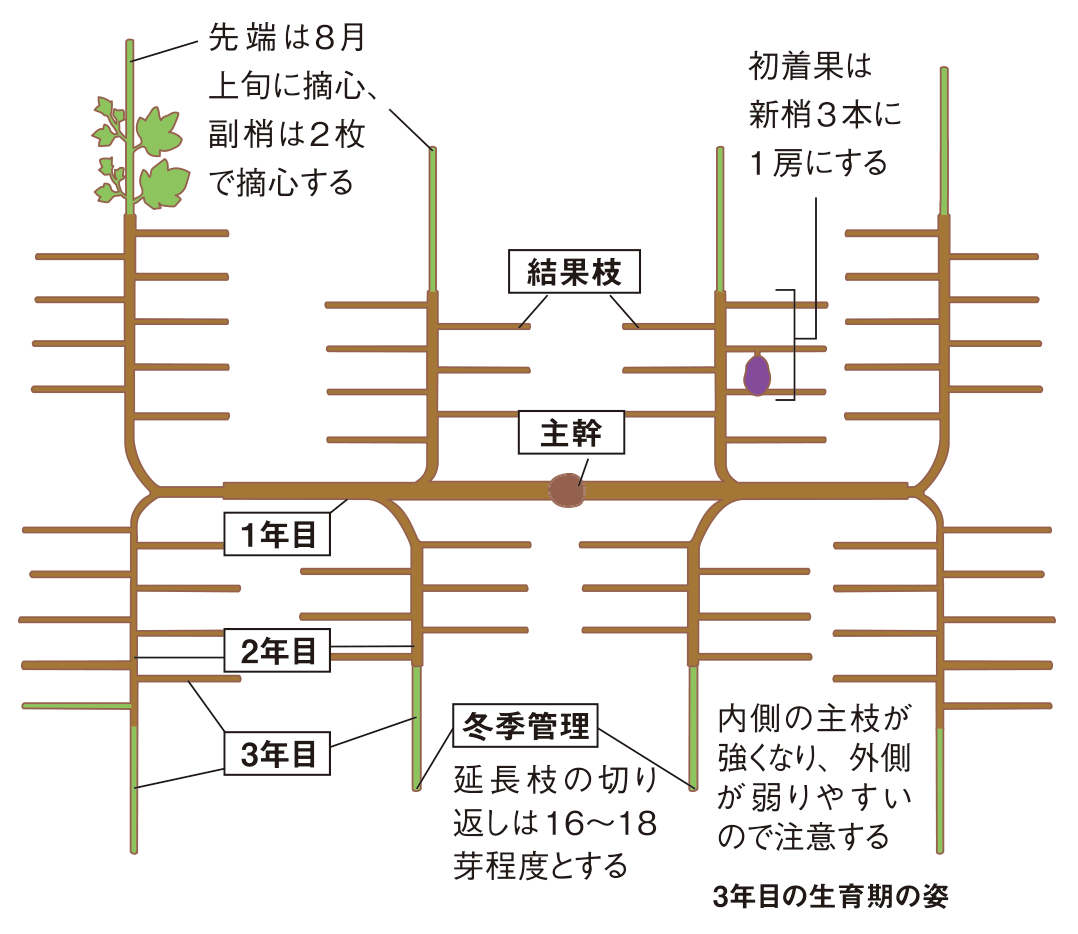 図：3年目の管理