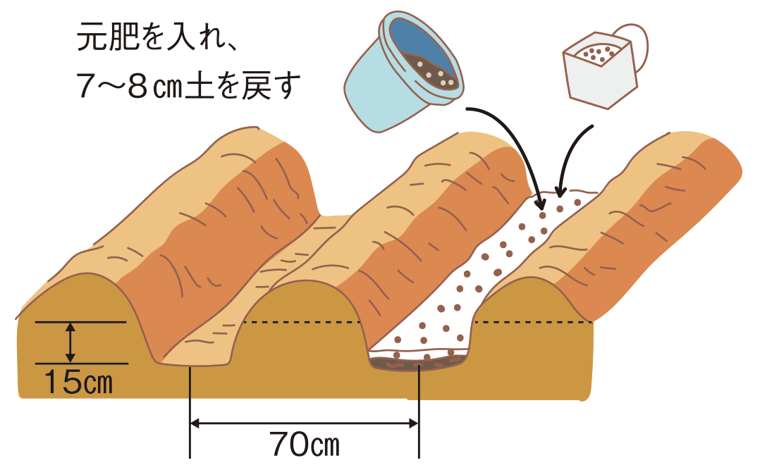 図：畑の準備