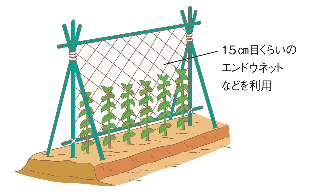 図：管理