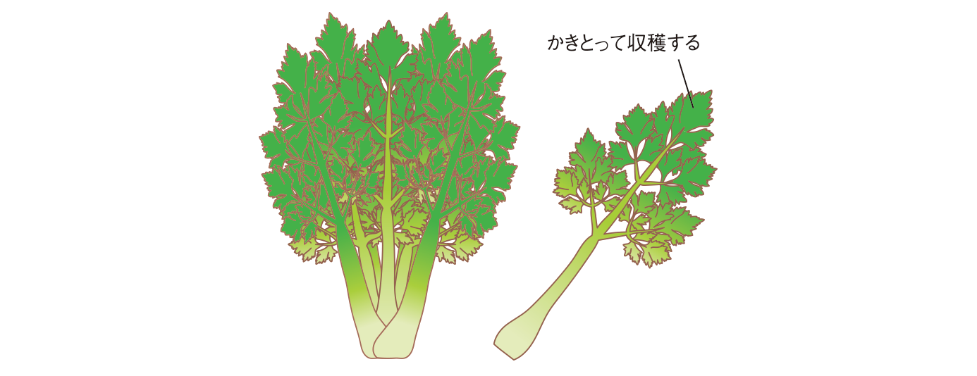 図：株の管理