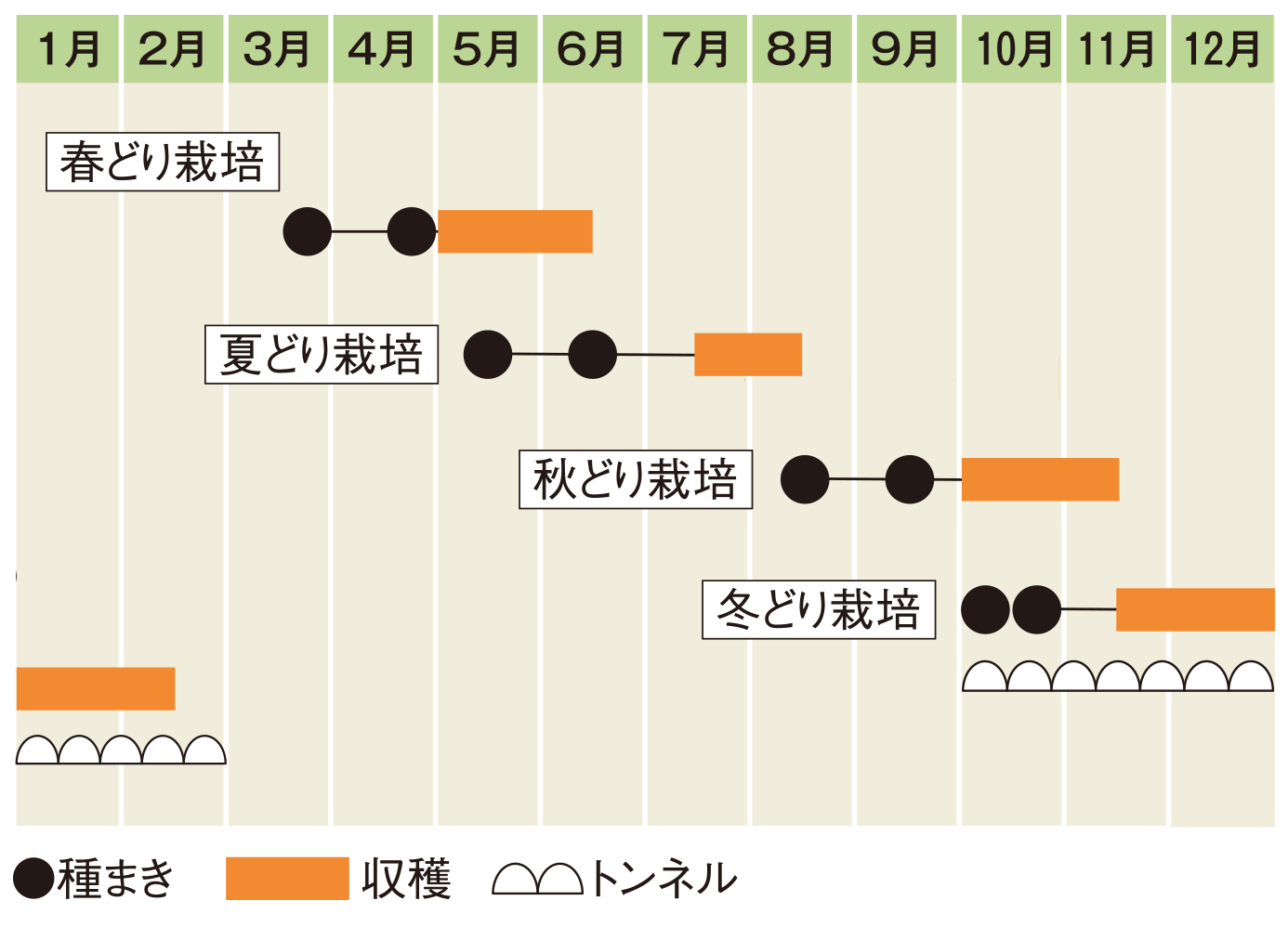 栽培スケジュール