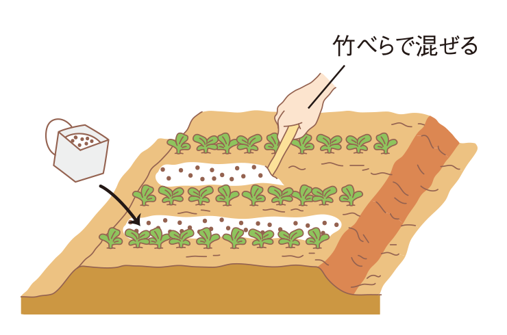 図：ベッドまきの場合