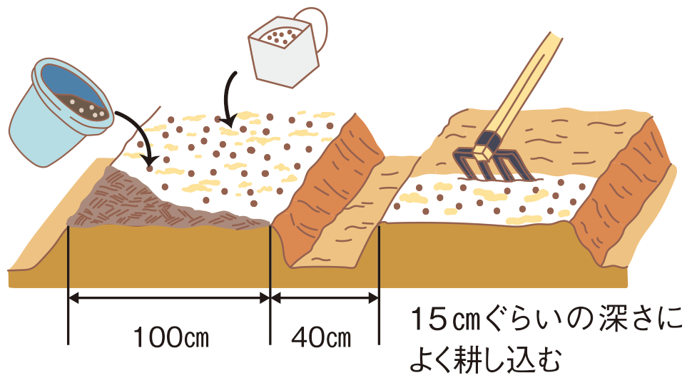 図：畑の準備