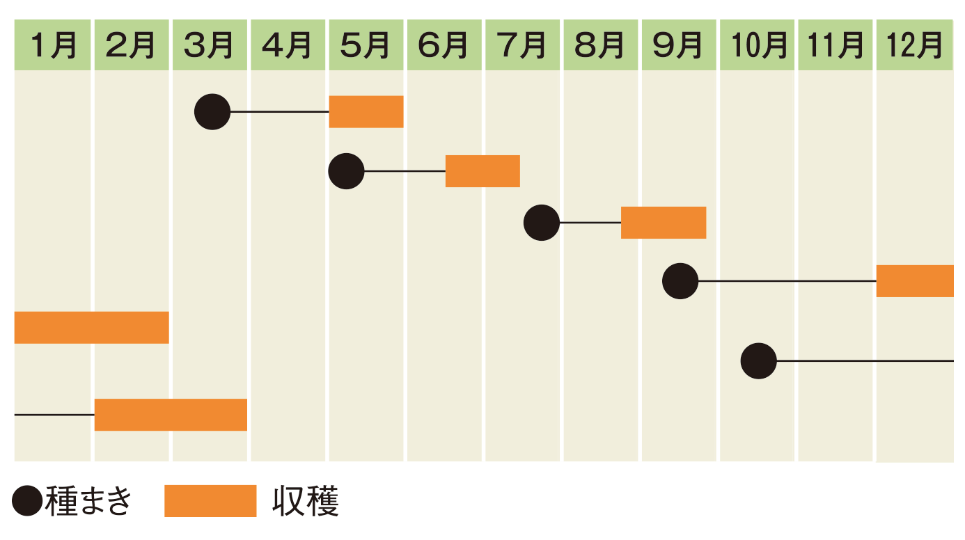 栽培スケジュール