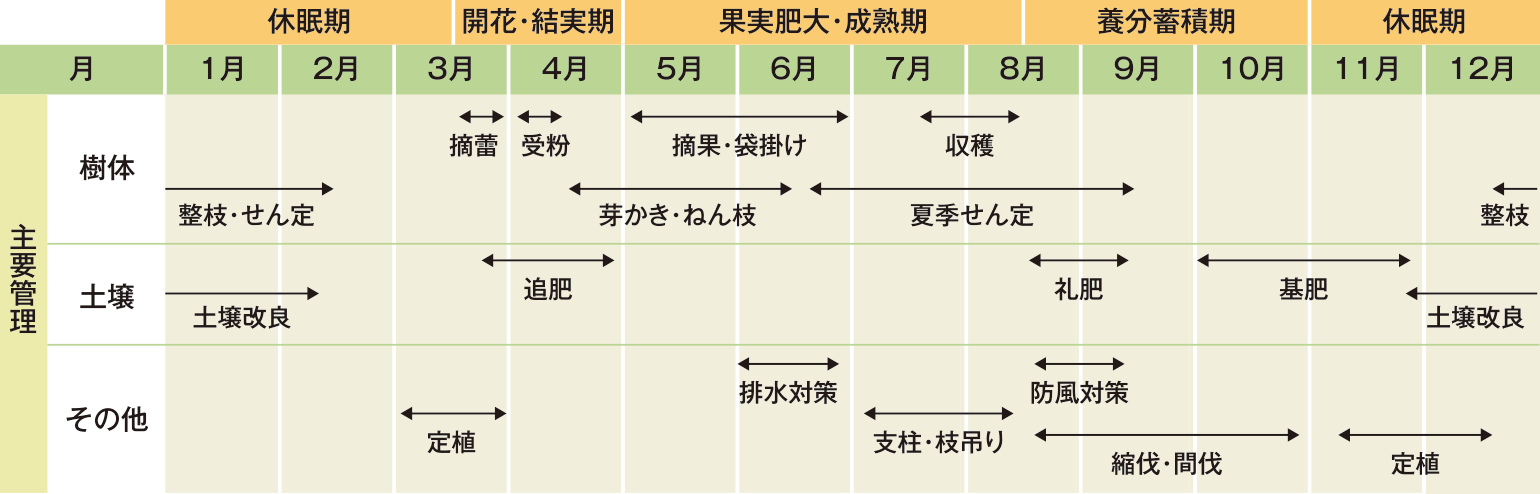 栽培スケジュール