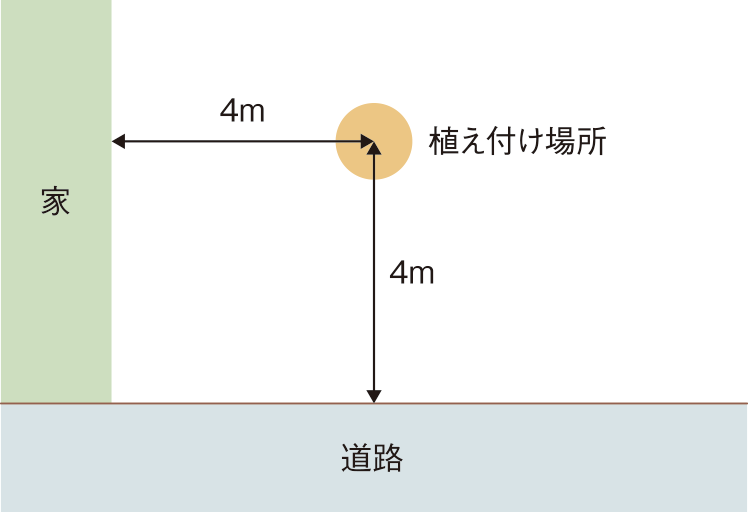 図：植え付け場所