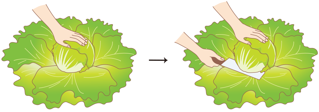 図:収穫
