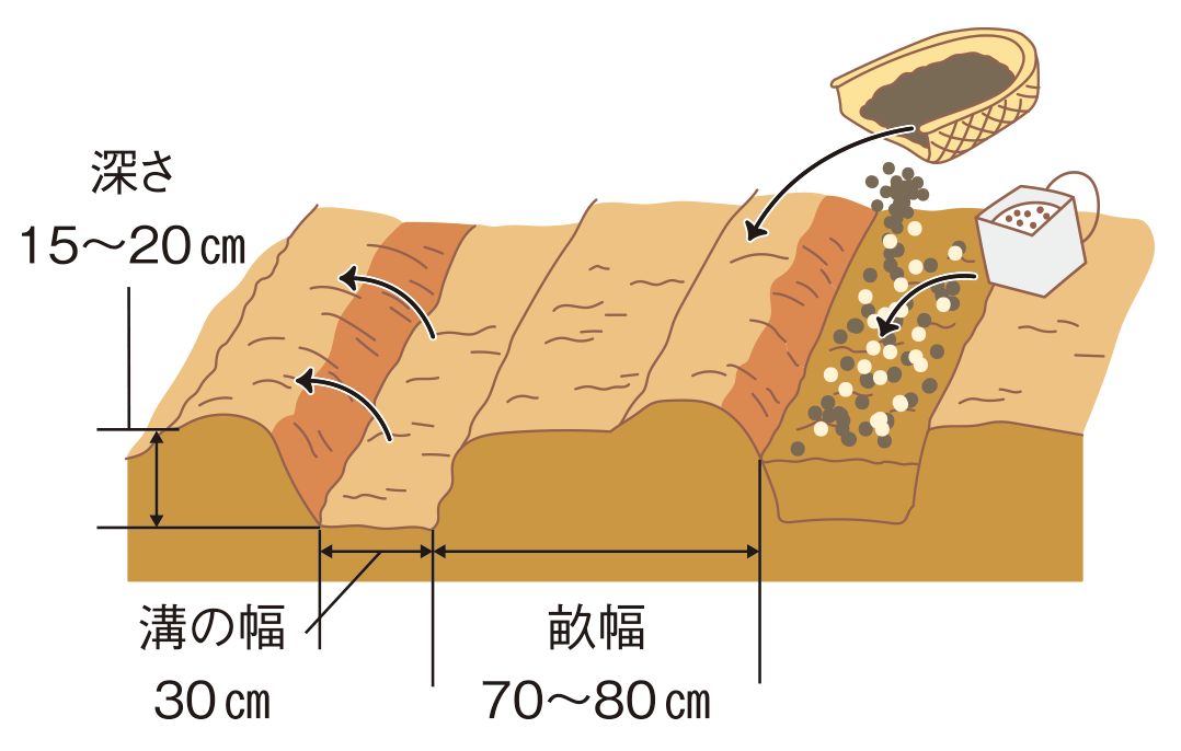 図：畑の準備