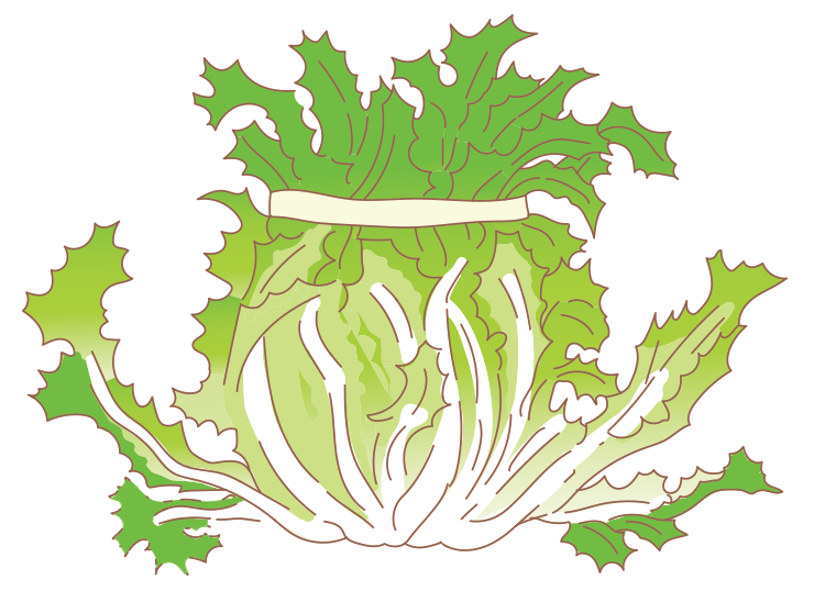 図:植え付け 1 マルチ張り