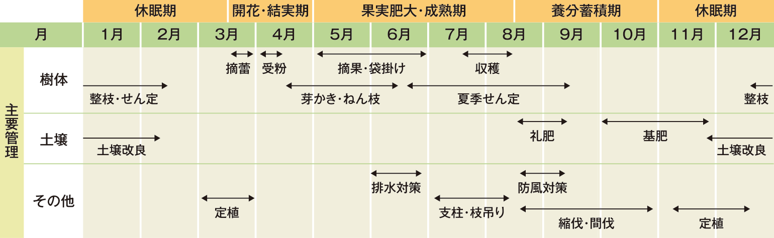 モモの生育と栽培管理の年間スケジュール