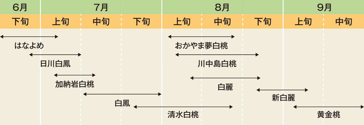 主要品種の成熟期