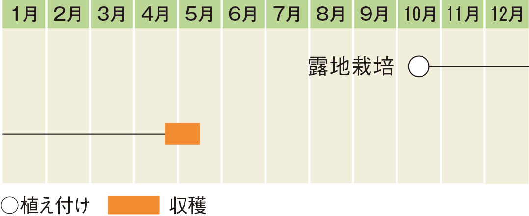 栽培スケジュール