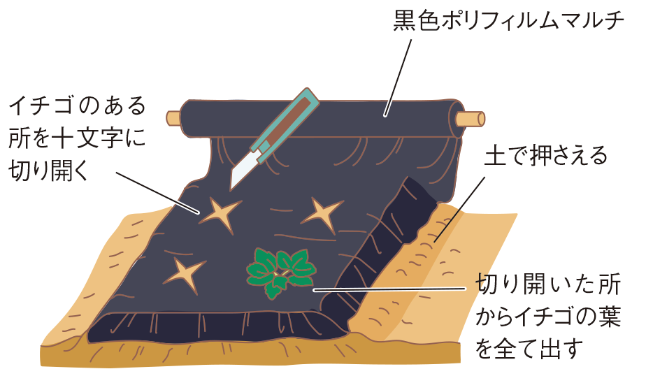 保温被覆の図1