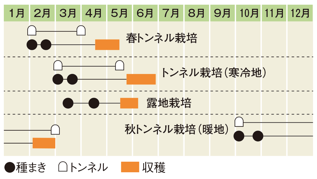 栽培スケジュール