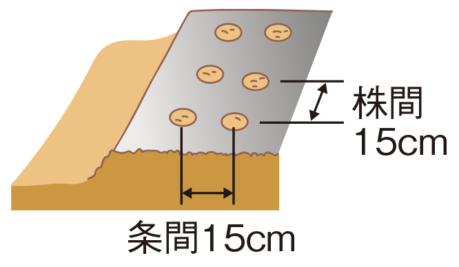 種まきの図1