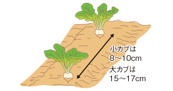 種まきの図2