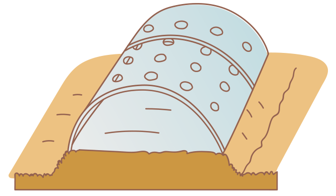 種まきの図2