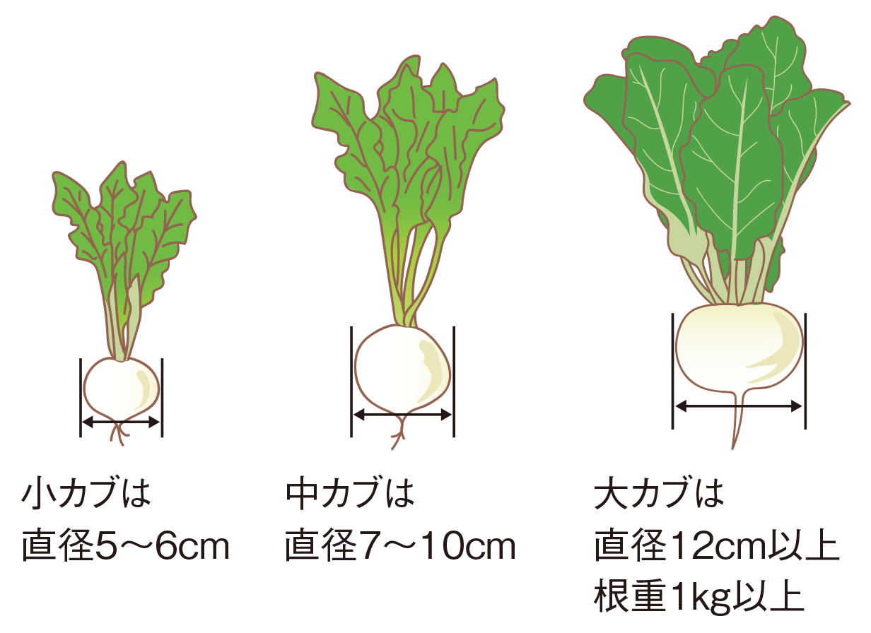 開心自然形の図