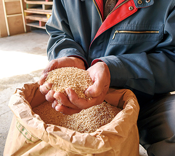 米袋の米を手ですくう生産者の写真