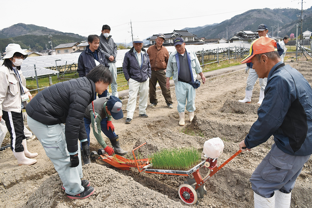 白ネギの定植方法を学ぶ生産者や関係者の写真