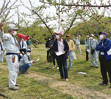 白皇の栽培管理について説明を受ける参加者の写真