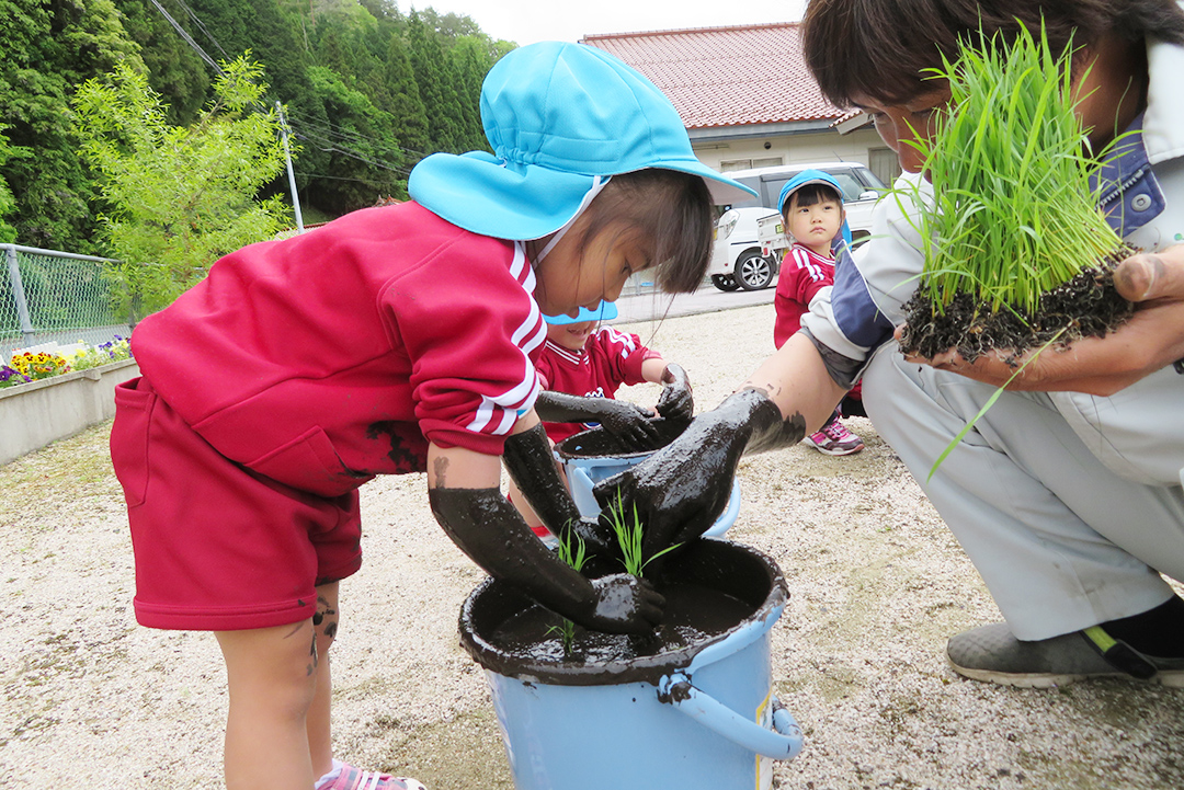 営農指導員に教わり苗を植える園児の写真