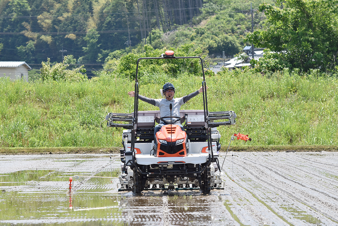 田植えの様子の写真