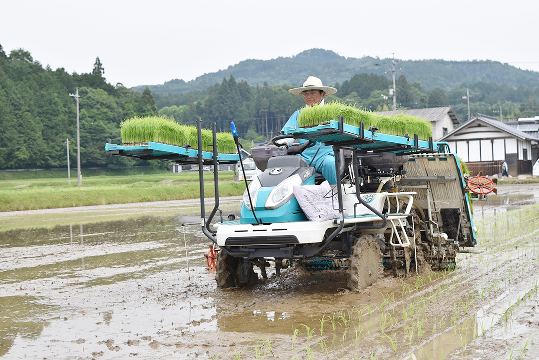 田植えの様子の写真