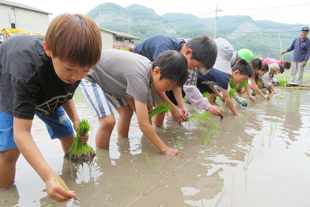 田植えの様子の写真