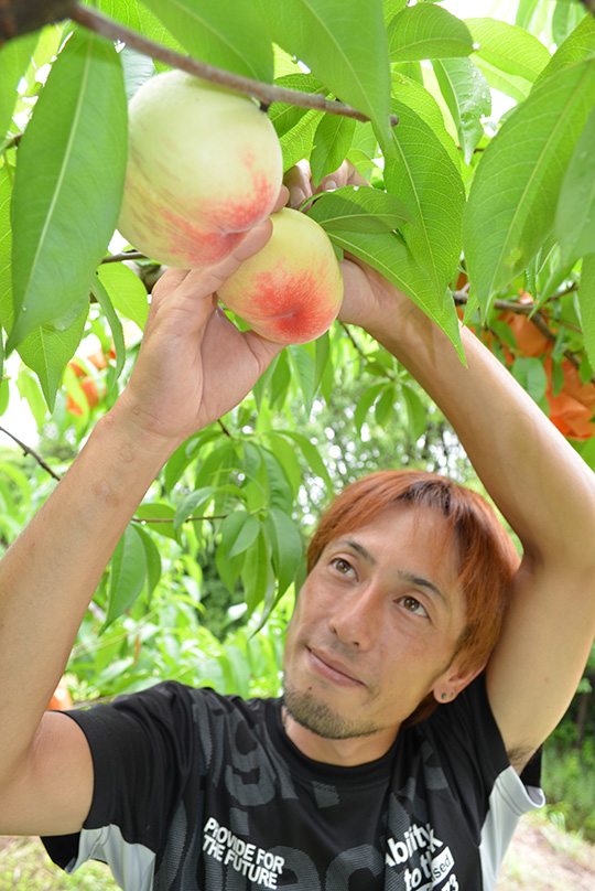 「はなよめ」を収穫する室山翔太郎さんの写真