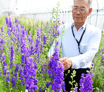 美しい花を咲かせたラークスパーを手に複雑な心境を語る濱田会長の写真