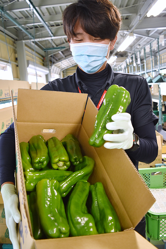 食べごたえ抜群！の写真