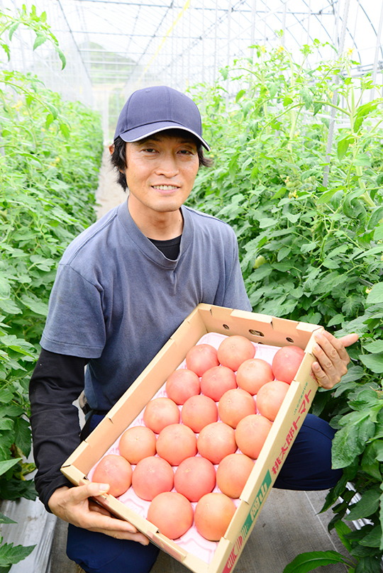 箱詰めしたトマトを持った原さんの写真