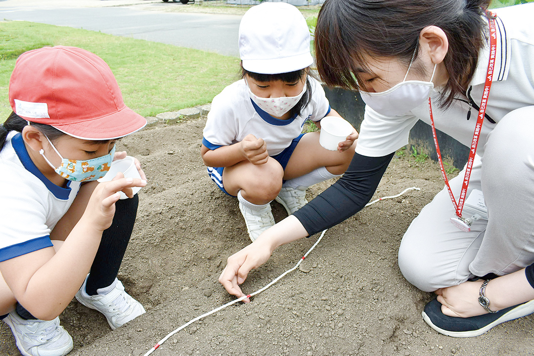 ＪＡ職員から植え方を学ぶ児童の写真