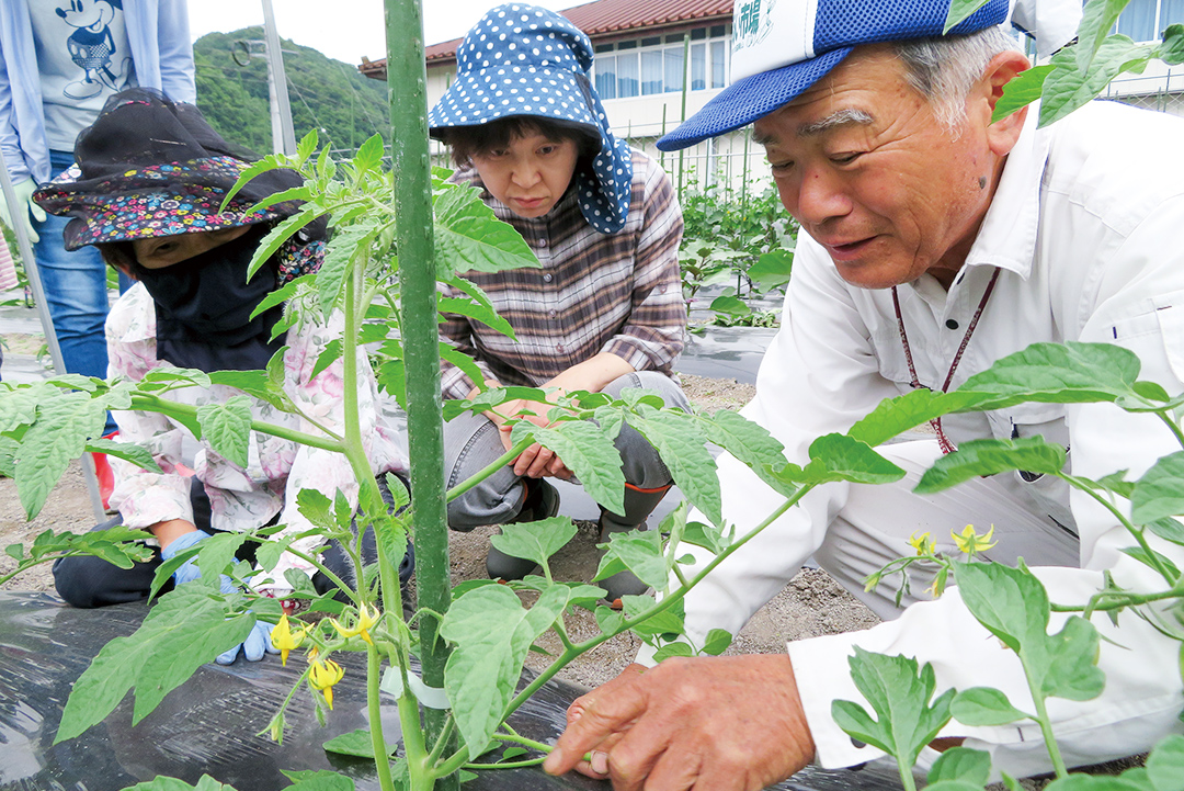 藤澤さん（右）から栽培のポイントを学ぶ参加者の写真