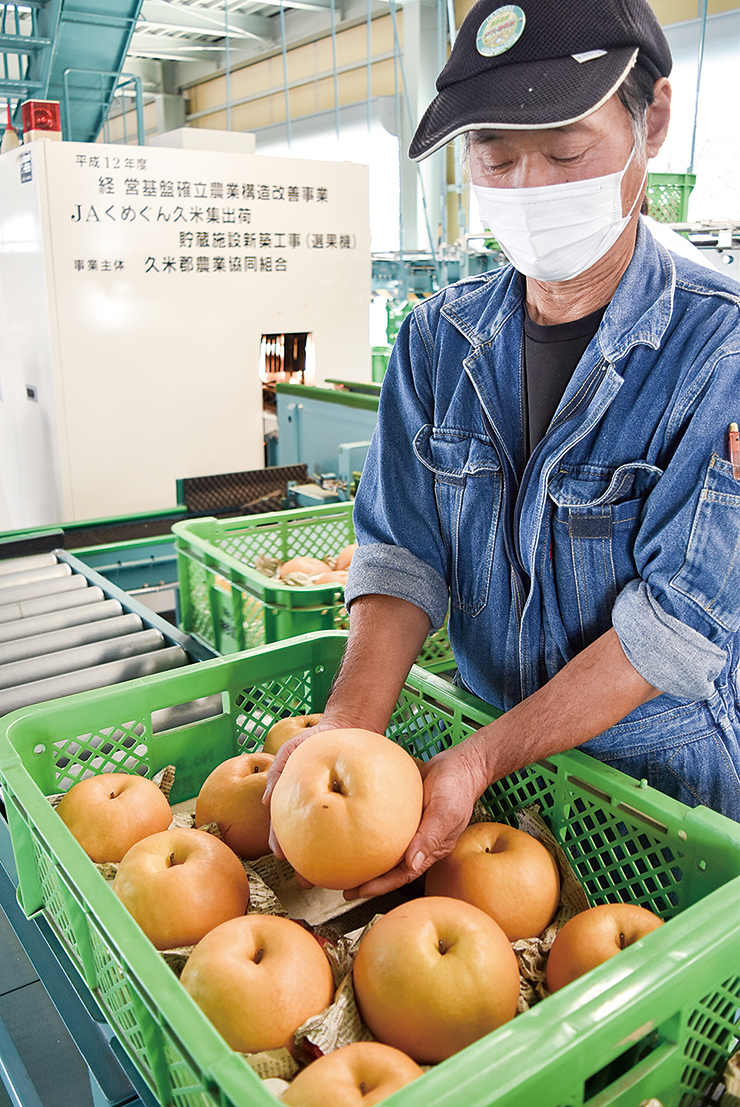 新高梨をPRする安藤会長の写真