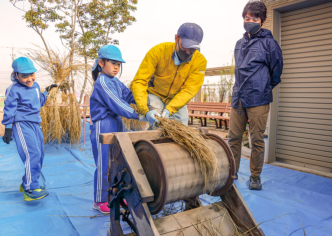 部員と一緒に脱穀作業をする園児の写真