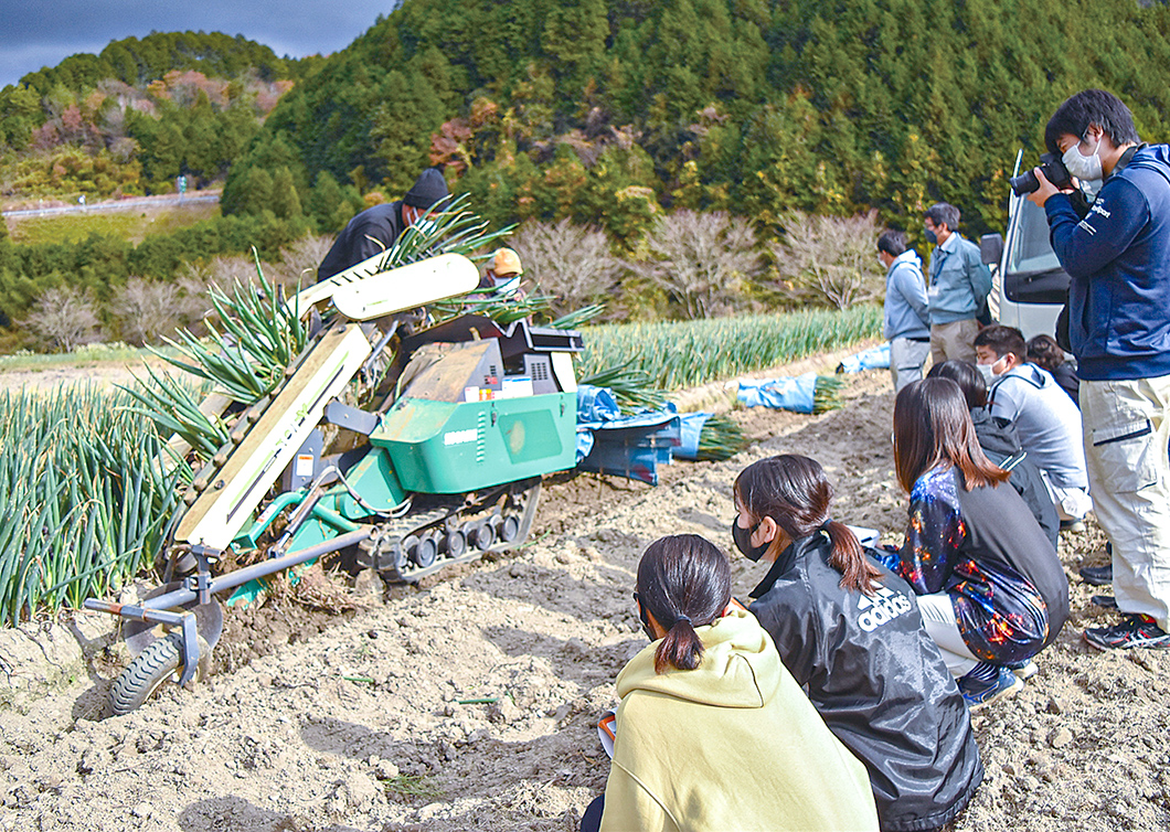 機械による白ネギの収穫を見学する学生の写真