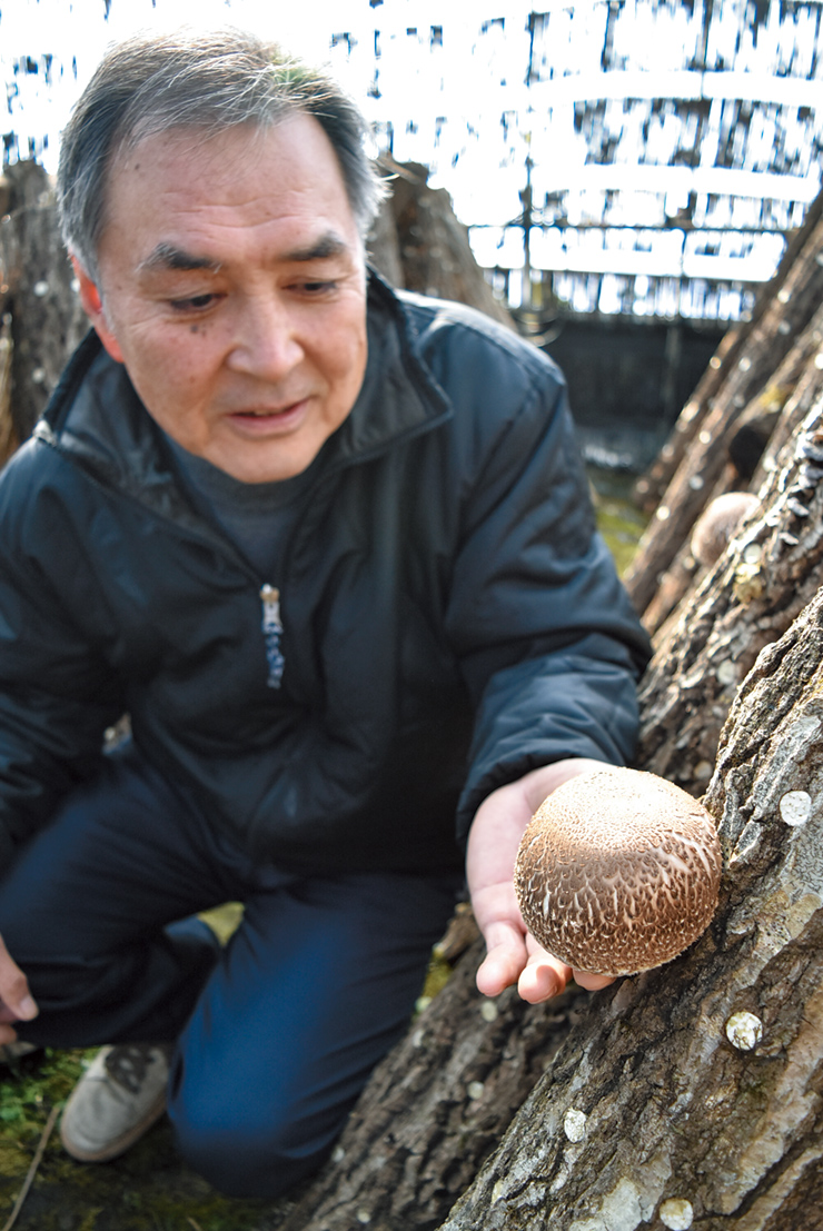 まにわジャンボの出来を確認する綱島さんの写真