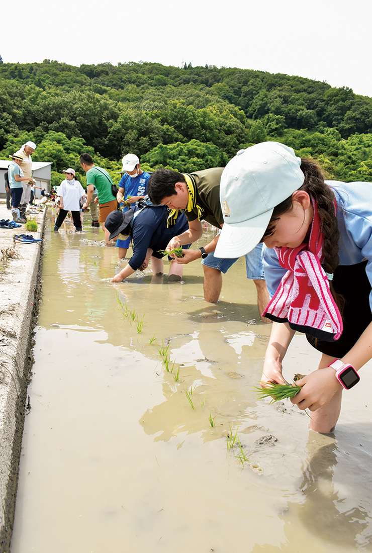 田植えを体験する親子の写真